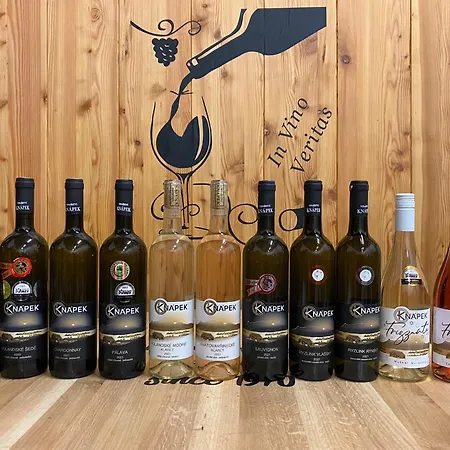 Gasthuis Vinarstvi & Knapek Strachotin